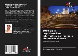 1000 bit in organizzazione informatica per rompere l'intervista tecnica