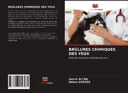 BRÛLURES CHIMIQUES DES YEUX