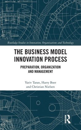 The Business Model Innovation Process