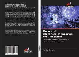 Monoliti di alluminosilice sagomati multifunzionali