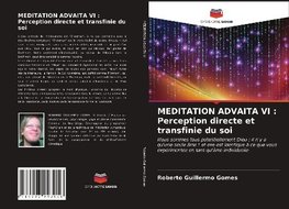 MEDITATION ADVAITA VI : Perception directe et transfinie du soi