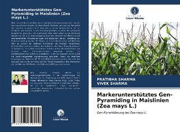 Markerunterstütztes Gen-Pyramiding in Maislinien (Zea mays L.)