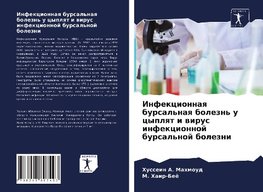Infekcionnaq bursal'naq bolezn' u cyplqt i wirus infekcionnoj bursal'noj bolezni