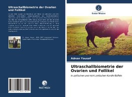 Ultraschallbiometrie der Ovarien und Follikel