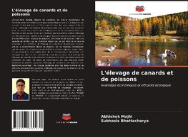 L'élevage de canards et de poissons