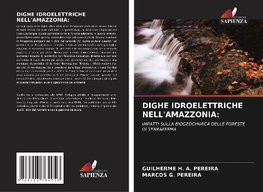 DIGHE IDROELETTRICHE NELL'AMAZZONIA: