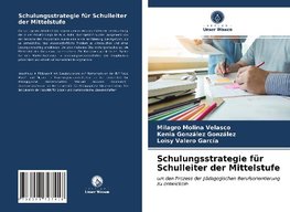 Schulungsstrategie für Schulleiter der Mittelstufe