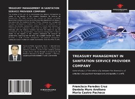 TREASURY MANAGEMENT IN SANITATION SERVICE PROVIDER COMPANY