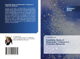 Feasibility Study of Wastewater Treatment in Collection Networks