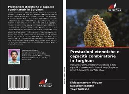 Prestazioni eterotiche e capacità combinatorie in Sorghum