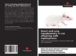 Heart and lung morphometry in rat offspring with leptospirosis