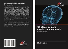 Gli elementi della coscienza fenomenale