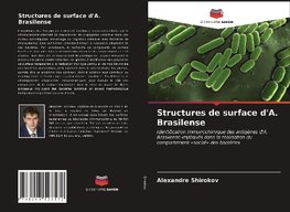 Structures de surface d'A. Brasilense