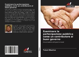 Esaminare la partecipazione pubblica come un contributore al buon governo