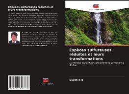 Espèces sulfureuses réduites et leurs transformations