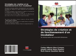 Stratégies de création et de fonctionnement d'un incubateur