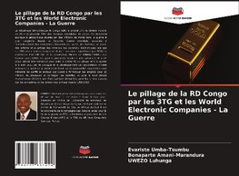 Le pillage de la RD Congo par les 3TG et les World Electronic Companies - La Guerre