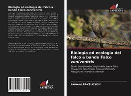 Biologia ed ecologia del falco a bande Falco zoniventris