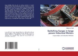 Switching Surges in large power Industrial Motors