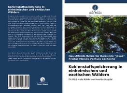 Kohlenstoffspeicherung in einheimischen und exotischen Wäldern