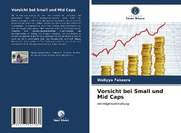 Vorsicht bei Small und Mid Caps