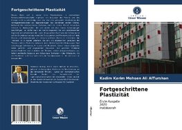 Fortgeschrittene Plastizität