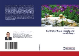 Control of Scale insects and mealy bugs