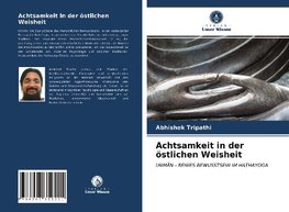 Achtsamkeit in der östlichen Weisheit