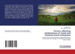 Factors affecting performance of small and medium-sized enterprises