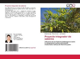 Proyecto integrador de saberes