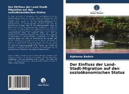 Der Einfluss der Land-Stadt-Migration auf den sozioökonomischen Status