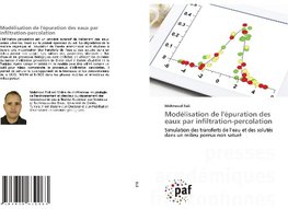 Modélisation de l'épuration des eaux par infiltration-percolation