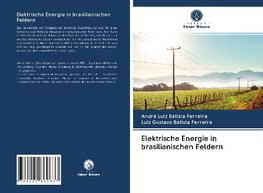 Elektrische Energie in brasilianischen Feldern