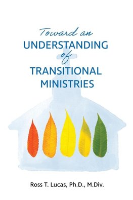 Toward an Understanding of Transitional Ministries