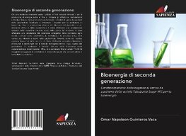 Bioenergia di seconda generazione