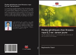 Études génétiques chez Brassica rapa (L.) var. sarson jaune