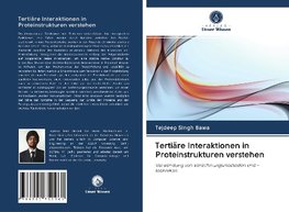 Tertiäre Interaktionen in Proteinstrukturen verstehen