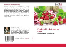 Producción de fresa sin suelo