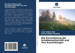 Die Einschätzung der Schattenwirtschaft und ihre Auswirkungen