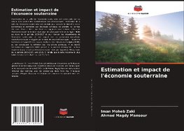 Estimation et impact de l'économie souterraine