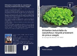 Utilisation industrielle du caoutchouc recyclé provenant de pneus usagés