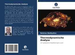 Thermodynamische Analyse