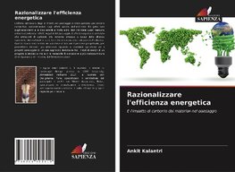 Razionalizzare l'efficienza energetica