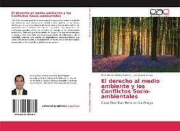 El derecho al medio ambiente y los Conflictos Socio-ambientales