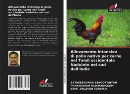 Allevamento intensivo di pollo nativo per carne nel Tamil occidentale Naduinte nel sud dell'India