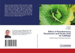 Effect of Pseudomonas Fluorescens and Humic Acid on Cabbage