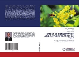 EFFECT OF CONSERVATION AGRICULTURE PRACTICES ON YIELD