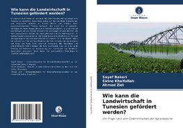 Wie kann die Landwirtschaft in Tunesien gefördert werden?