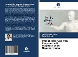 Immobilisierung von Enzymen mit magnetischen Nanopartikeln