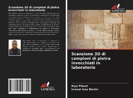 Scansione 3D di campioni di pietra invecchiati in laboratorio